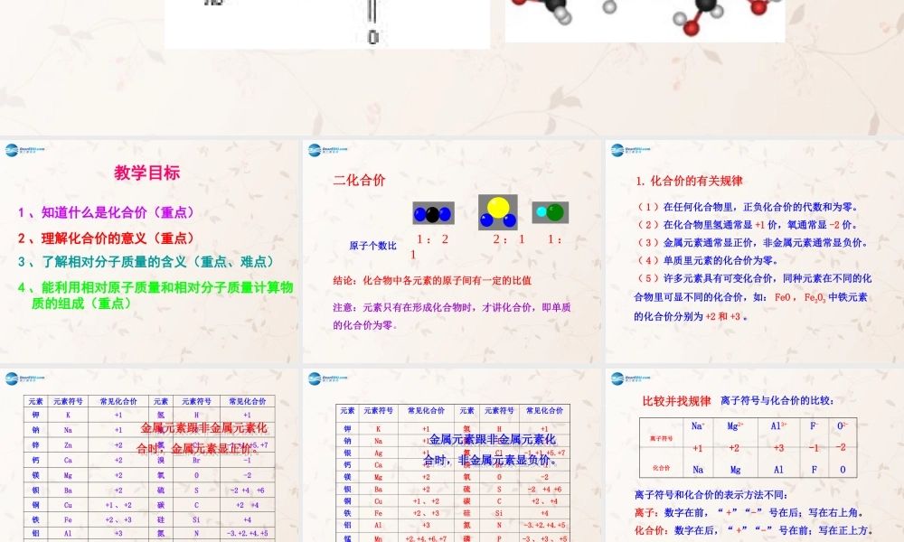 人教初中化学九上《4课题4化学式与化合价》PPT课件 (14).ppt