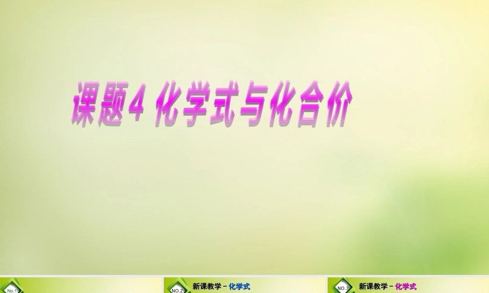 人教初中化学九上《4课题4化学式与化合价》PPT课件 (21).ppt