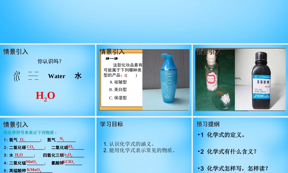 人教初中化学九上《4课题4化学式与化合价》PPT课件 (15).ppt