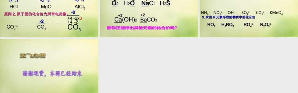 人教初中化学九上《4课题4化学式与化合价》PPT课件 (22).ppt