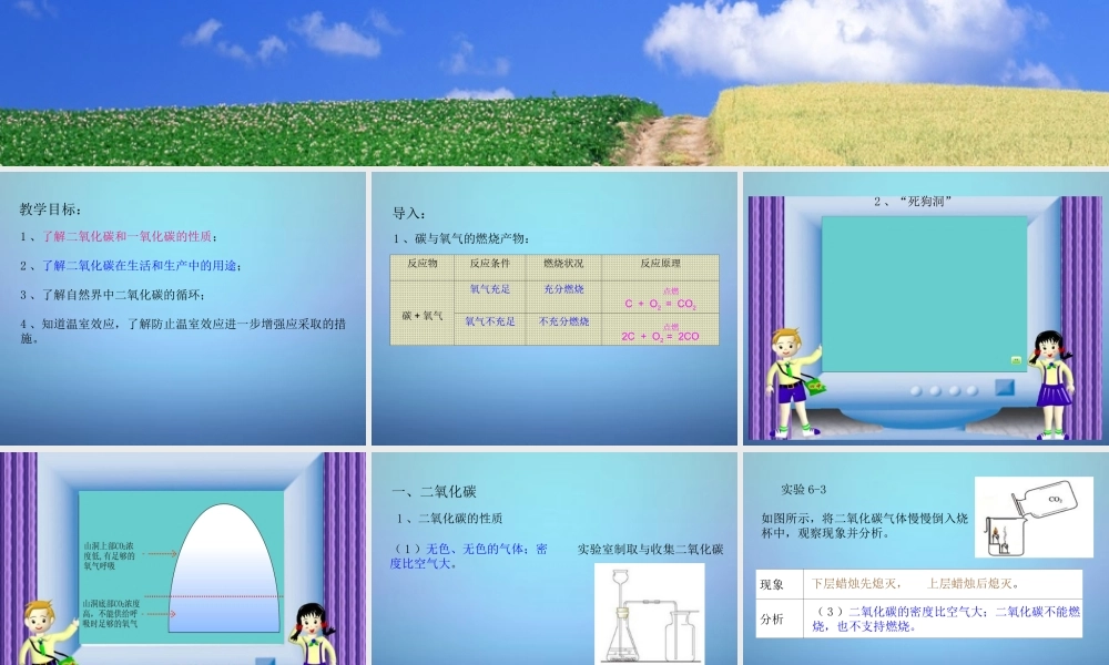 人教初中化学九上《6课题3二氧化碳和一氧化碳》PPT课件 (6).ppt