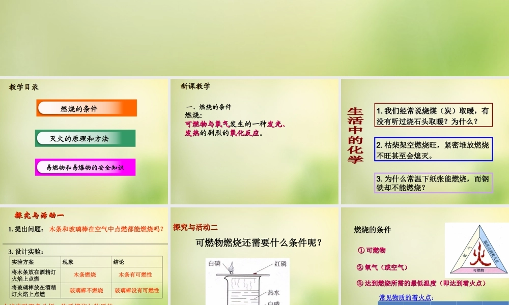 人教初中化学九上《7第七单元燃料及其利用》PPT课件 (8).ppt