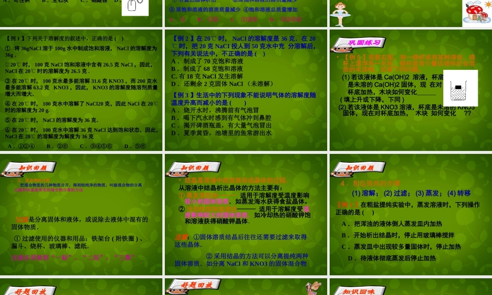 人教初中化学九下《9第九单元溶液》PPT课件 (8).ppt