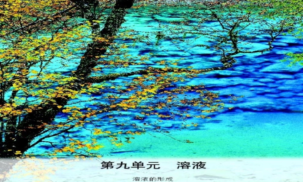 人教初中化学九下《9课题1溶液的形成》PPT课件 (13).ppt