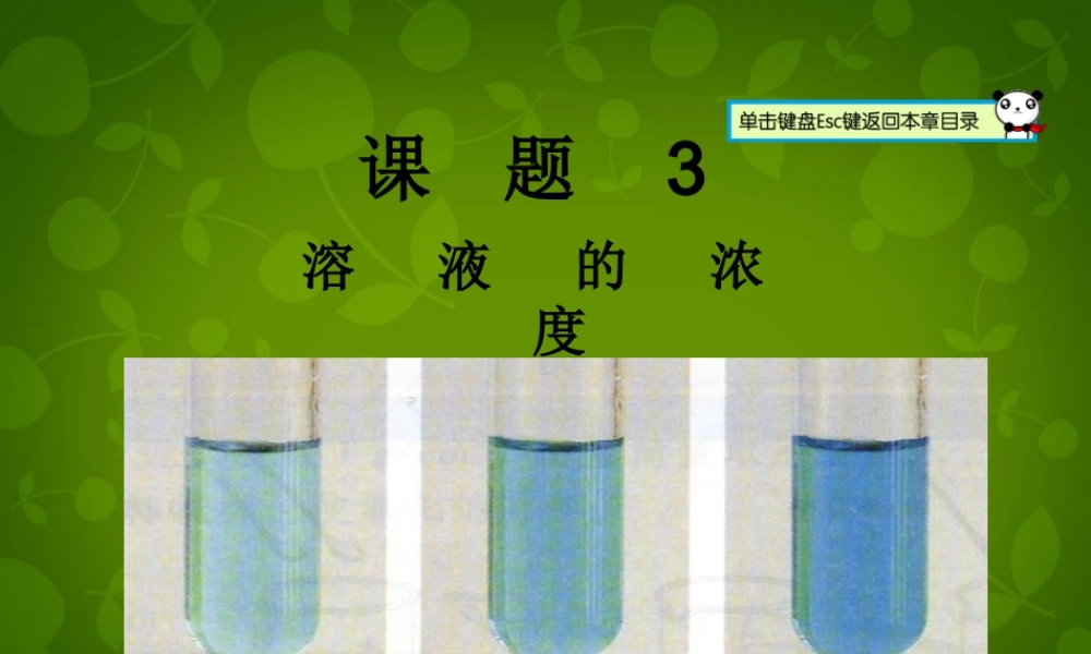 人教初中化学九下《9课题3溶液的浓度》PPT课件 (6).ppt