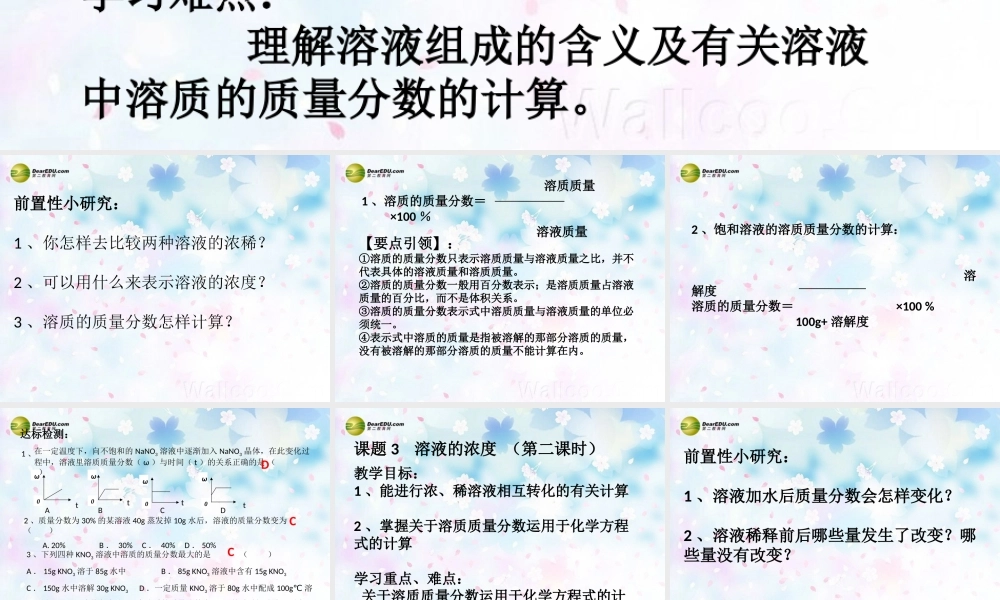 人教初中化学九下《9课题3溶液的浓度》PPT课件 (5).ppt