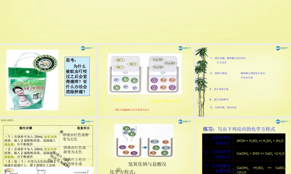 人教初中化学九下《10第十单元酸和碱》PPT课件 (5).ppt