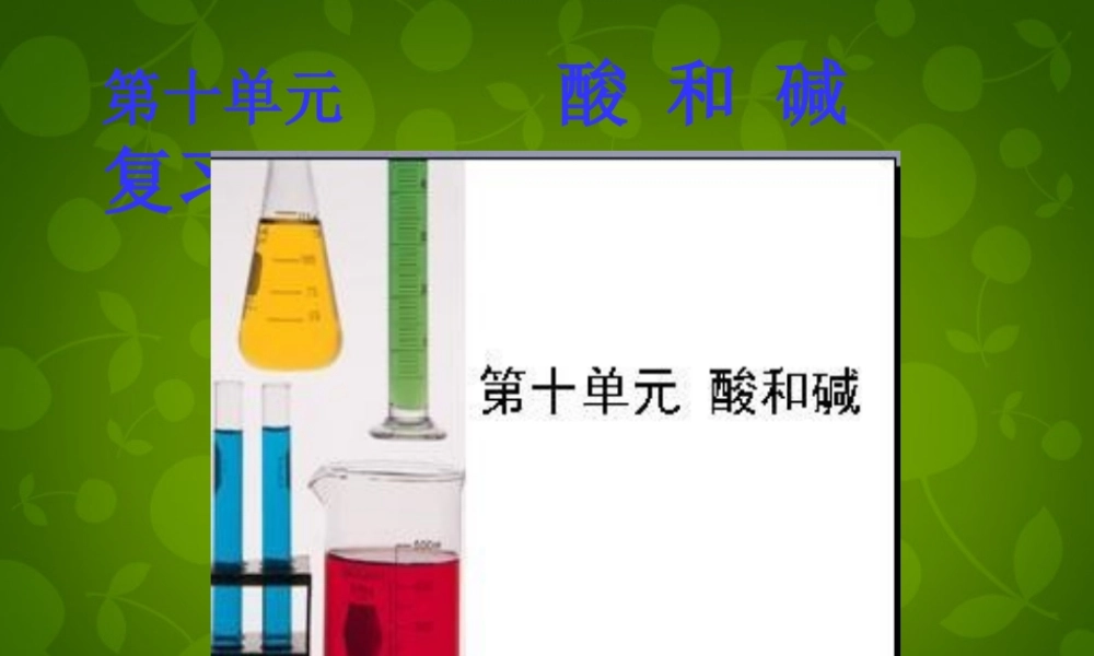 人教初中化学九下《10第十单元酸和碱》PPT课件 (7).ppt