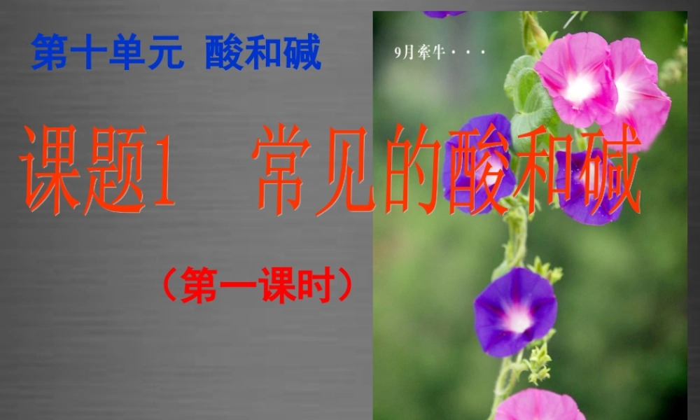 人教初中化学九下《10课题1常见的酸和碱》PPT课件 (1).ppt