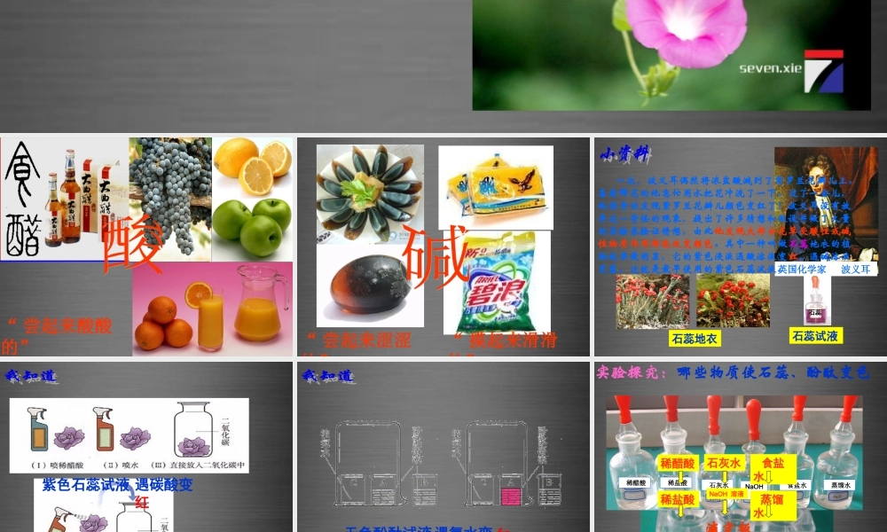 人教初中化学九下《10课题1常见的酸和碱》PPT课件 (1).ppt