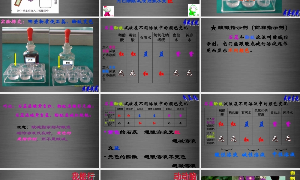 人教初中化学九下《10课题1常见的酸和碱》PPT课件 (1).ppt