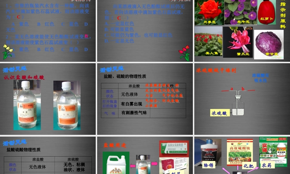 人教初中化学九下《10课题1常见的酸和碱》PPT课件 (1).ppt