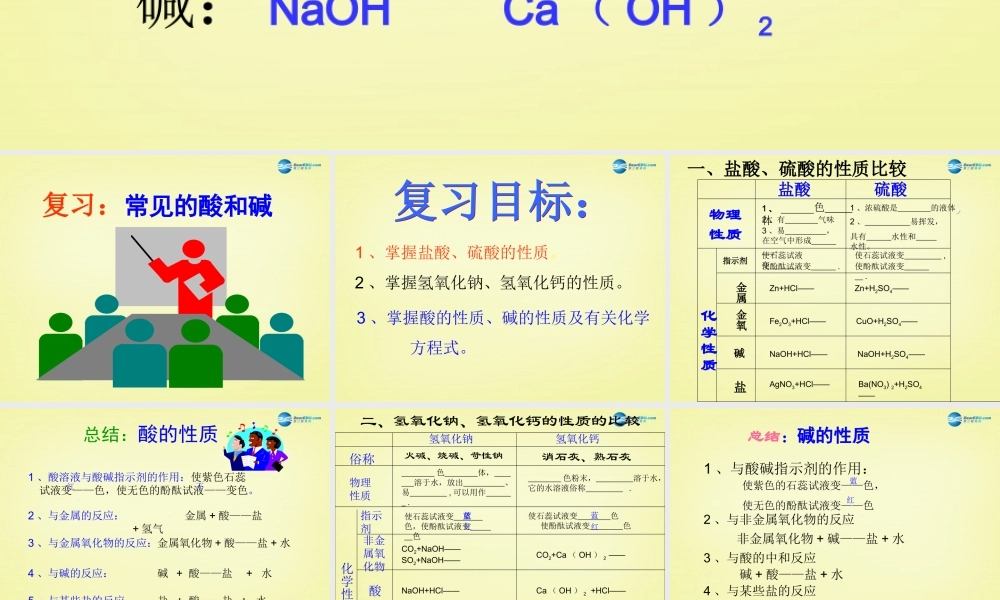 人教初中化学九下《10课题1常见的酸和碱》PPT课件 (5).ppt