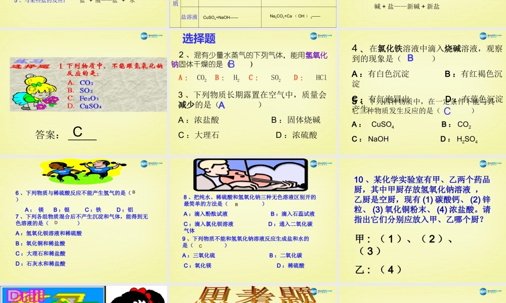 人教初中化学九下《10课题1常见的酸和碱》PPT课件 (5).ppt