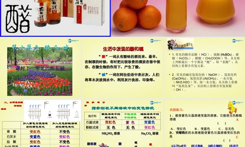 人教初中化学九下《10课题1常见的酸和碱》PPT课件 (7).ppt