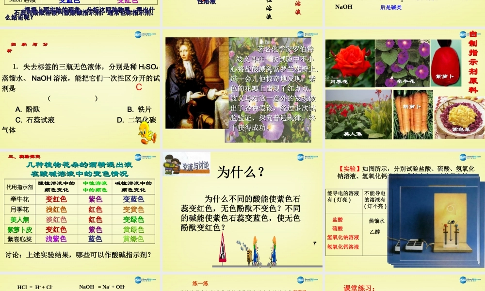 人教初中化学九下《10课题1常见的酸和碱》PPT课件 (7).ppt