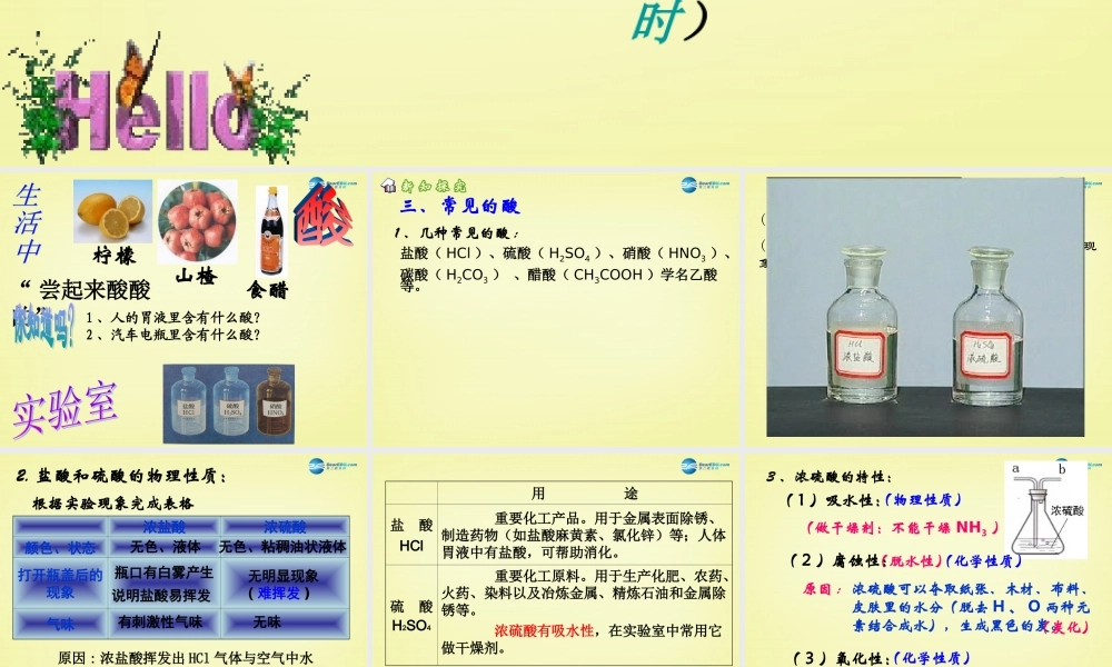 人教初中化学九下《10课题1常见的酸和碱》PPT课件 (8).ppt
