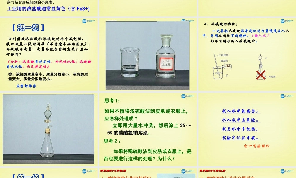 人教初中化学九下《10课题1常见的酸和碱》PPT课件 (8).ppt