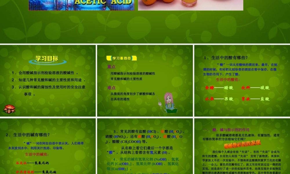 人教初中化学九下《10课题1常见的酸和碱》PPT课件 (3).ppt