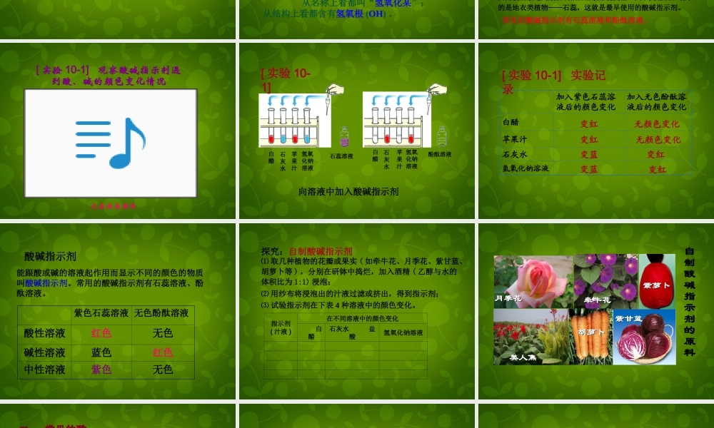 人教初中化学九下《10课题1常见的酸和碱》PPT课件 (3).ppt