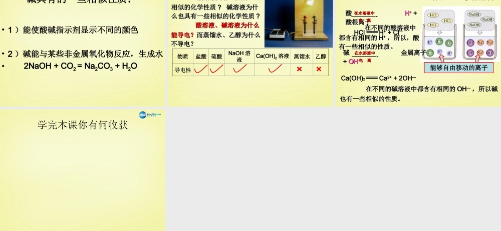 人教初中化学九下《10课题1常见的酸和碱》PPT课件 (9).ppt