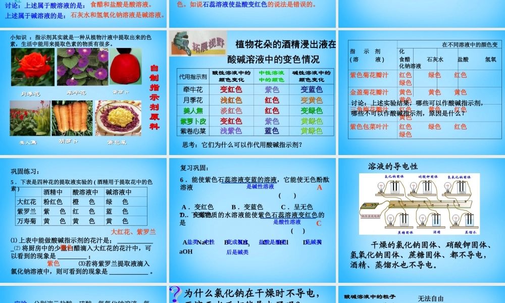 人教初中化学九下《10课题1常见的酸和碱》PPT课件 (10).ppt