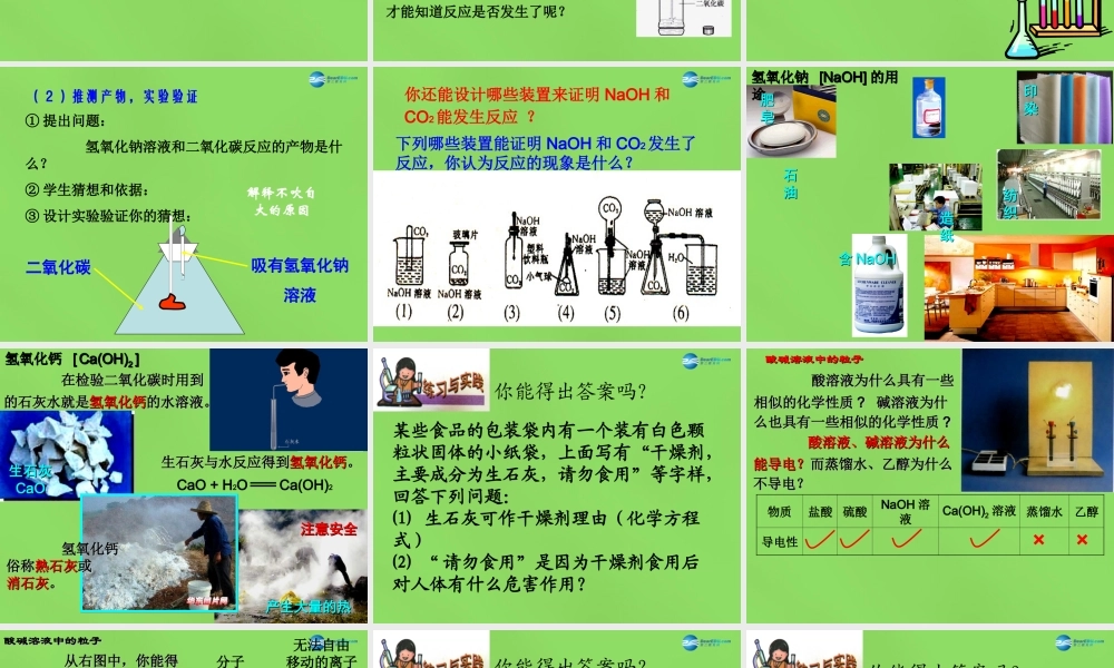 人教初中化学九下《10课题1常见的酸和碱》PPT课件 (4).ppt
