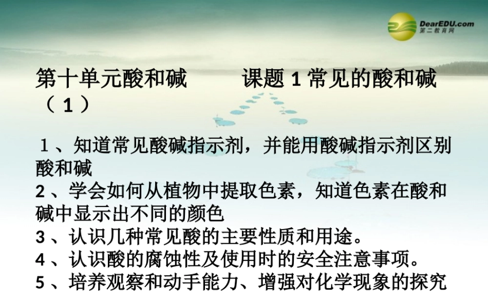 人教初中化学九下《10课题1常见的酸和碱》PPT课件 (2).ppt