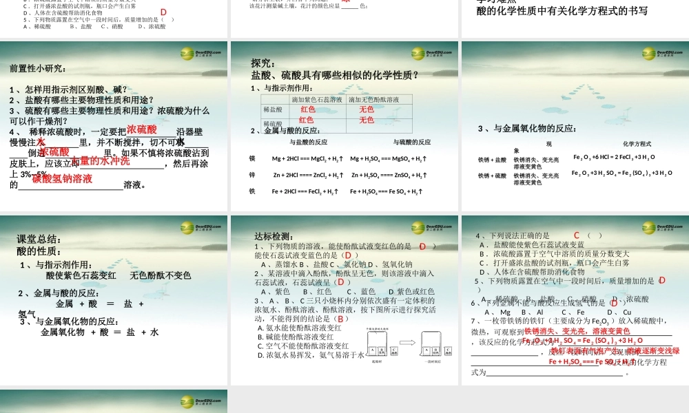 人教初中化学九下《10课题1常见的酸和碱》PPT课件 (2).ppt