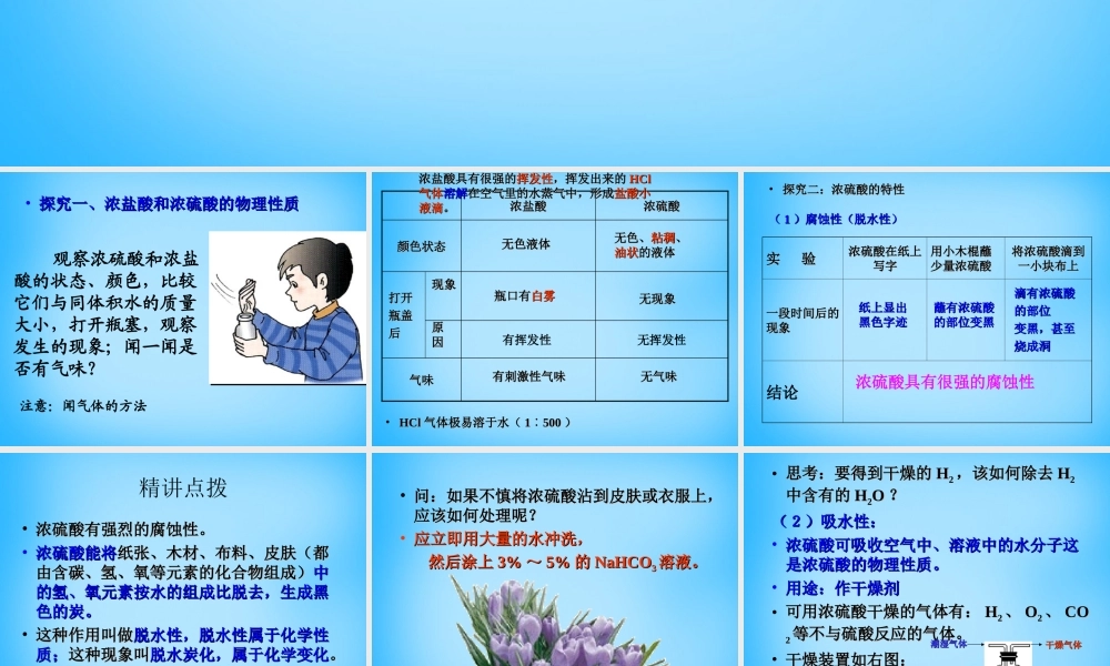 人教初中化学九下《10课题1常见的酸和碱》PPT课件 (11).ppt