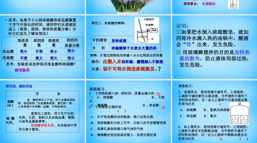 人教初中化学九下《10课题1常见的酸和碱》PPT课件 (11).ppt