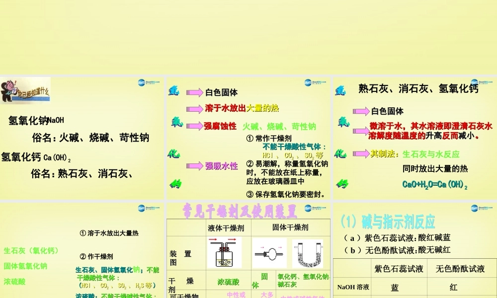 人教初中化学九下《10课题1常见的酸和碱》PPT课件 (6).ppt