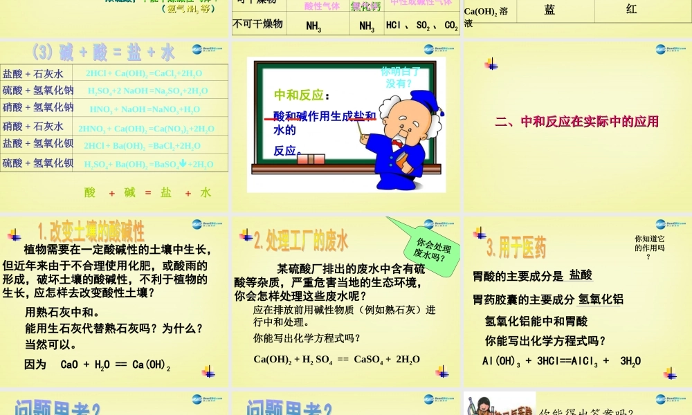 人教初中化学九下《10课题1常见的酸和碱》PPT课件 (6).ppt