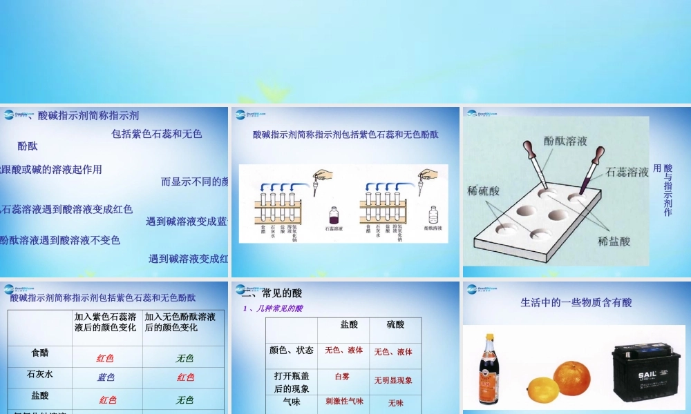 人教初中化学九下《10课题1常见的酸和碱》PPT课件 (17).ppt