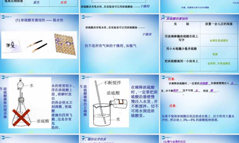 人教初中化学九下《10课题1常见的酸和碱》PPT课件 (17).ppt