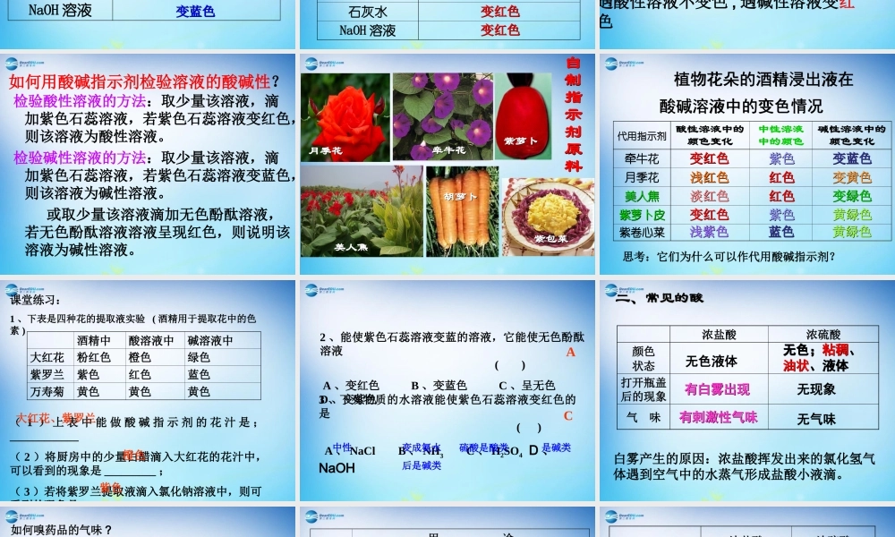 人教初中化学九下《10课题1常见的酸和碱》PPT课件 (18).ppt