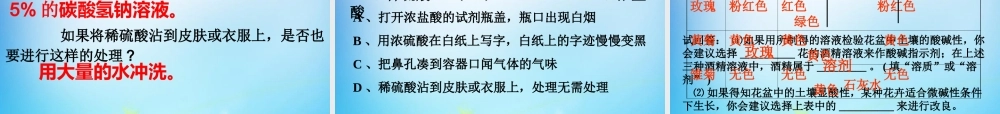 人教初中化学九下《10课题1常见的酸和碱》PPT课件 (18).ppt