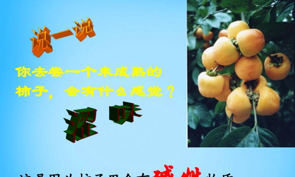 人教初中化学九下《10课题1常见的酸和碱》PPT课件 (13).ppt