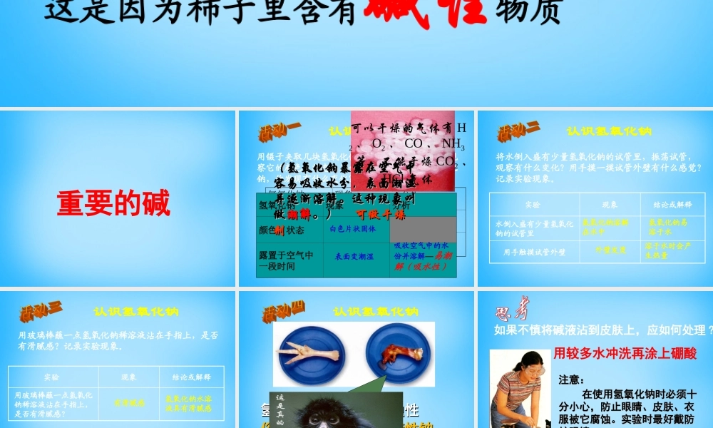 人教初中化学九下《10课题1常见的酸和碱》PPT课件 (13).ppt