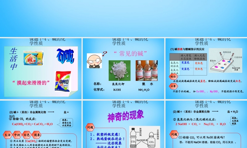 人教初中化学九下《10课题1常见的酸和碱》PPT课件 (14).ppt