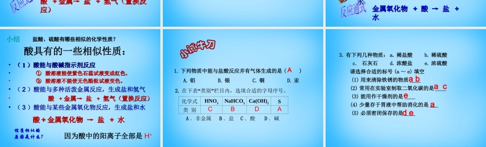 人教初中化学九下《10课题1常见的酸和碱》PPT课件 (12).ppt