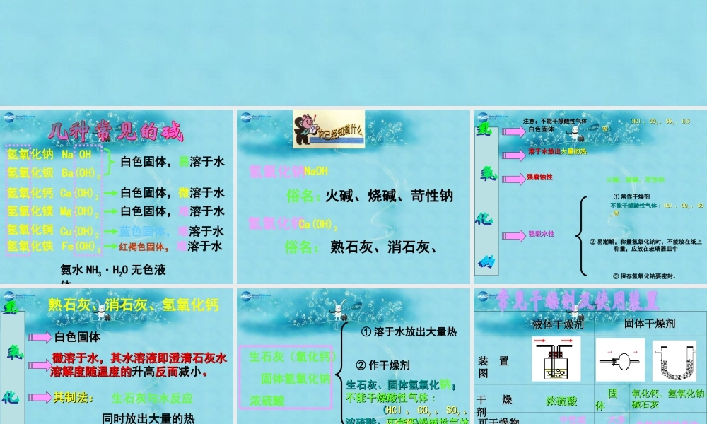 人教初中化学九下《10课题1常见的酸和碱》PPT课件 (16).ppt