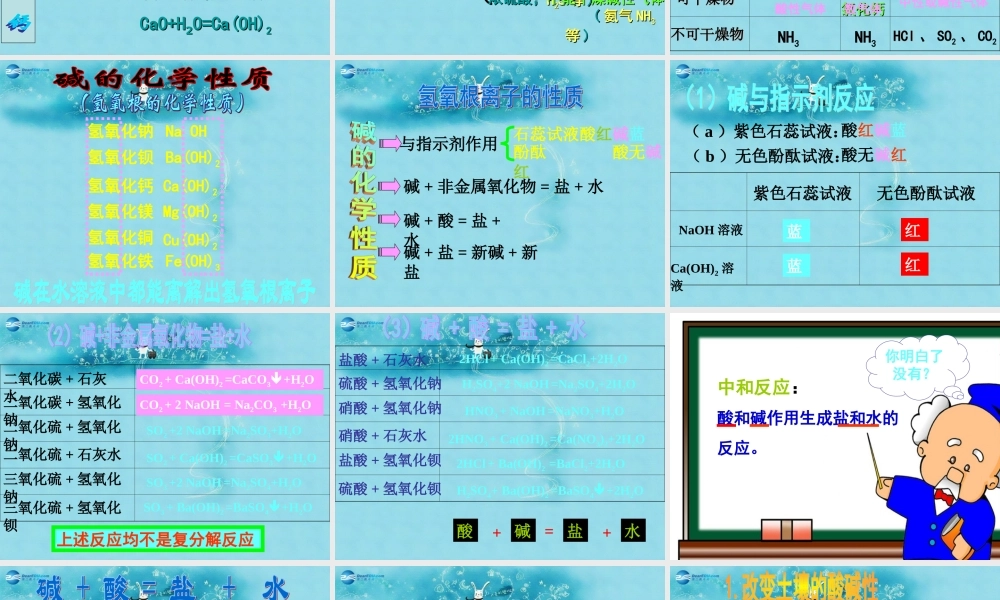 人教初中化学九下《10课题1常见的酸和碱》PPT课件 (16).ppt