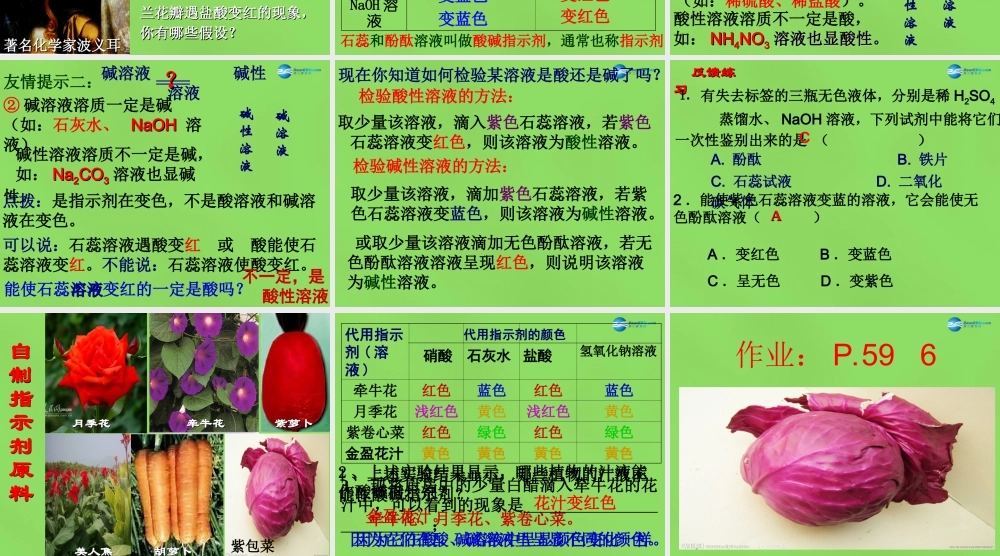 人教初中化学九下《10课题1常见的酸和碱》PPT课件 (15).ppt