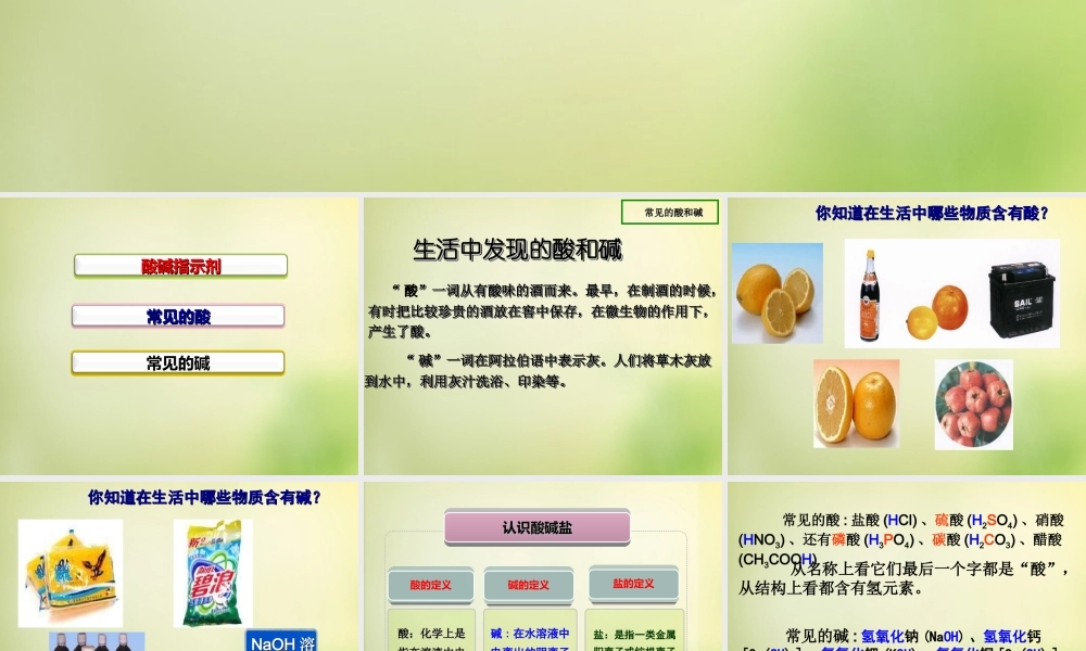 人教初中化学九下《10课题1常见的酸和碱》PPT课件 (27).ppt