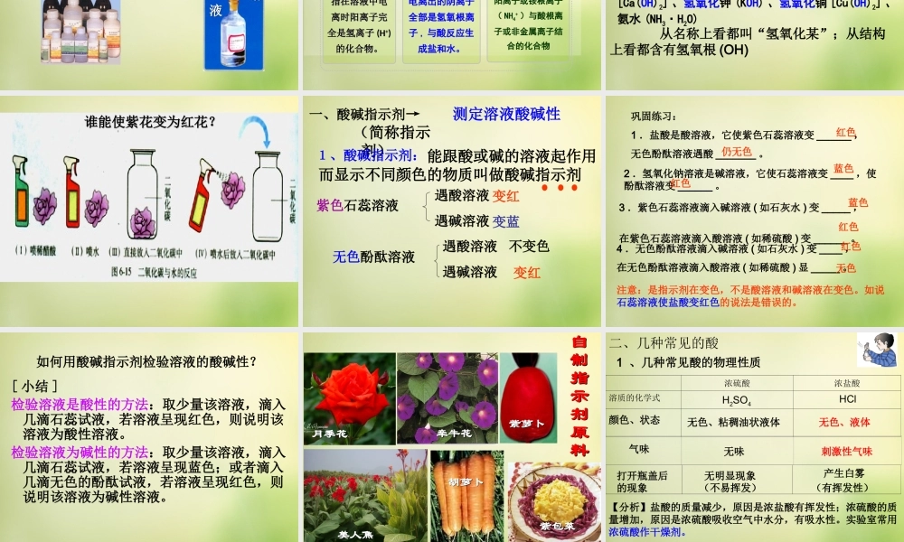 人教初中化学九下《10课题1常见的酸和碱》PPT课件 (27).ppt