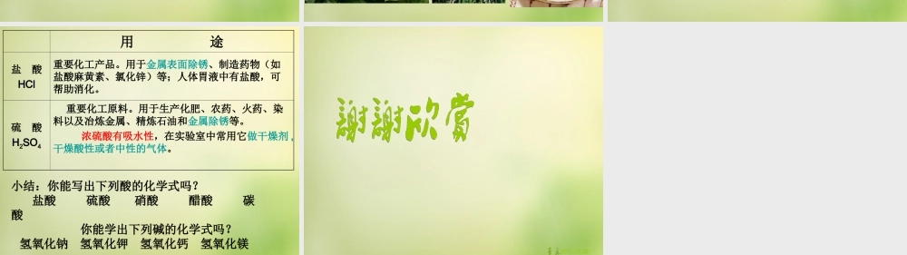 人教初中化学九下《10课题1常见的酸和碱》PPT课件 (27).ppt