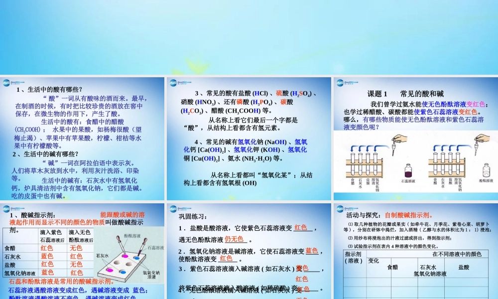 人教初中化学九下《10课题1常见的酸和碱》PPT课件 (20).ppt