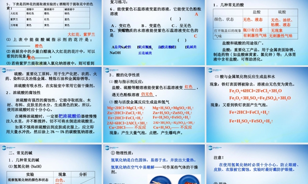 人教初中化学九下《10课题1常见的酸和碱》PPT课件 (20).ppt