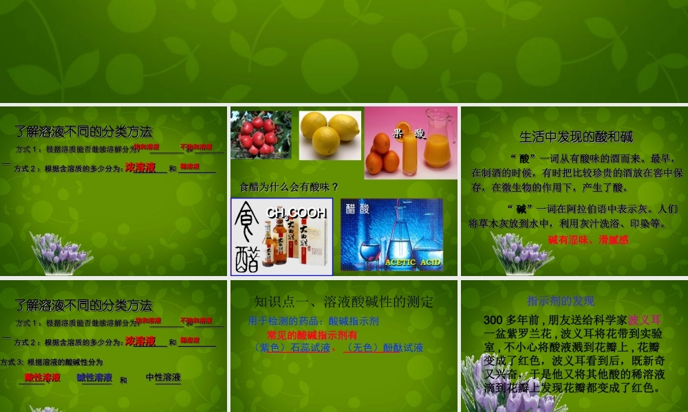 人教初中化学九下《10课题1常见的酸和碱》PPT课件 (24).ppt